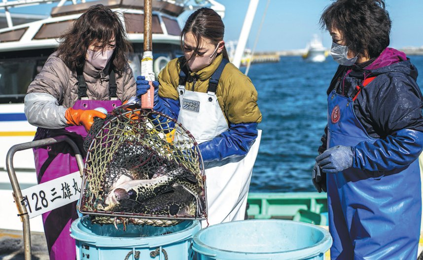 🌉 마쓰카와우라 대교 (마츠카와우라 오오하시) 이미지 9
